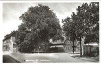 Postkarte Luther-Baum Worms Pfiffligheim, Luther-Baum Worms Pfiffligheim, Martin Luther, Worms, Lutherbaum, Luther Postkarte